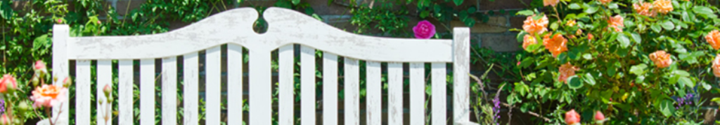 キティに関してのニュース